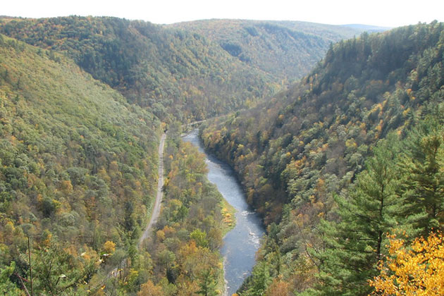 Pine Creek Gorge